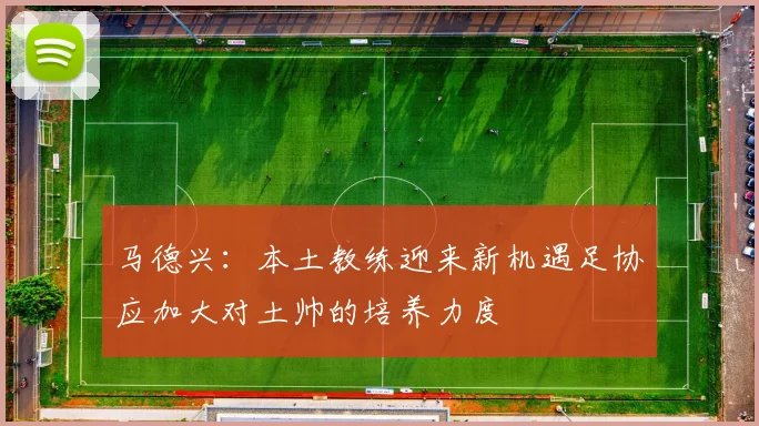 马德兴：本土教练迎来新机遇足协应加大对土帅的培养力度
